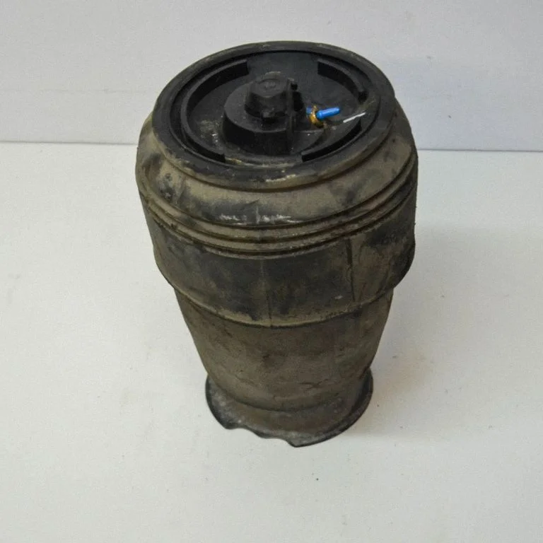Rear air suspension bag/shock absorber 6765602