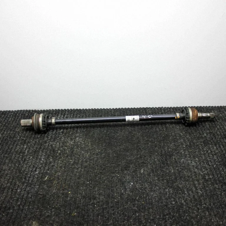 Aizmugurējā pusass 31492051