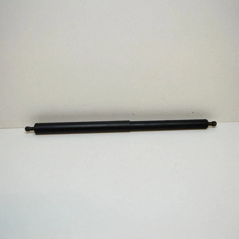 Tailgate/trunk strut/damper