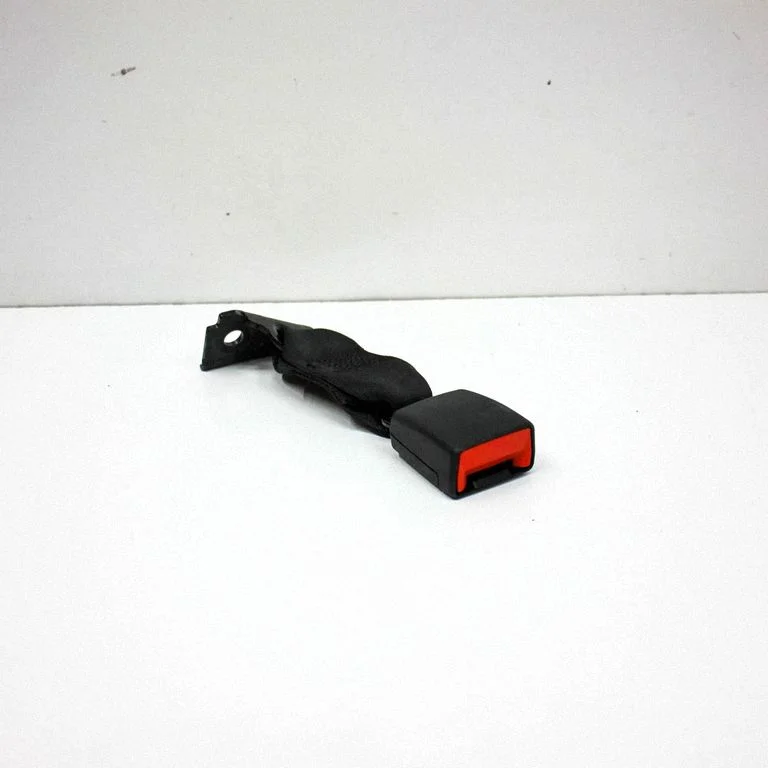 Middle seatbelt buckle (rear) 156112947