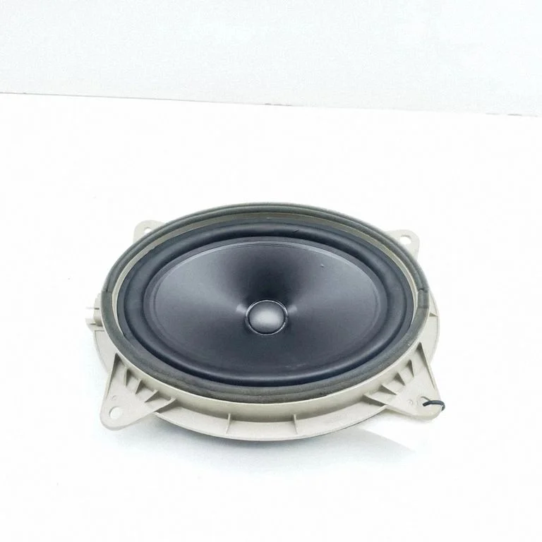 Front door speaker – left