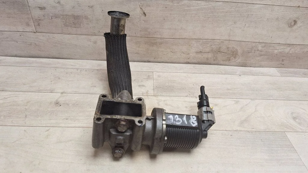 EGR valve