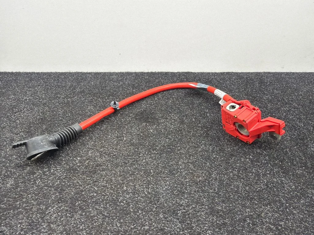 Przewód plusowy (akumulatora) – BMW Seria 6 F12 F13 (2010-2018)