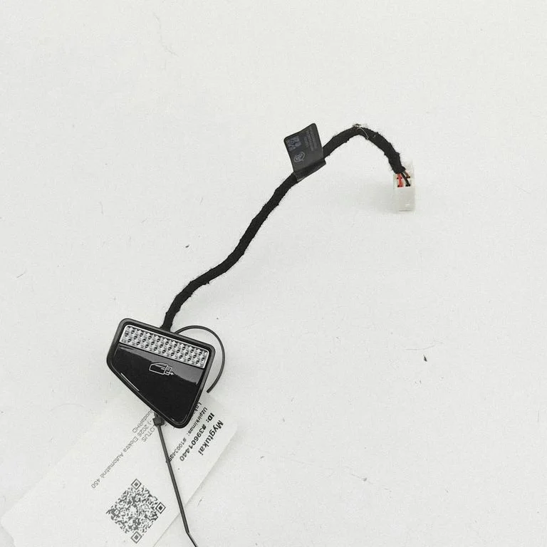 Other switches/knobs/shifts 8891104524ZA6 – Lotus Eletre (2024-)