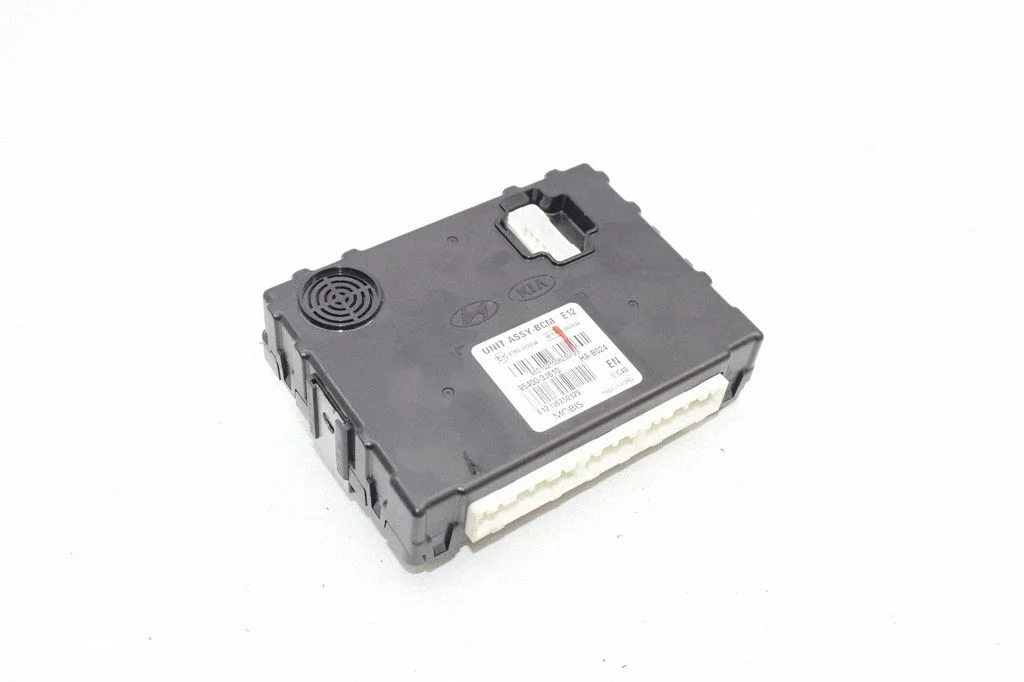 Central body control module – Hyundai ix55 ix 55 (2006-2012)